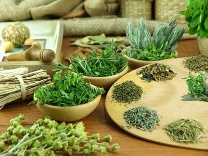 Bài thuốc dân gian chữa bệnh trĩ